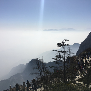 女教授撅起大白光屁股
